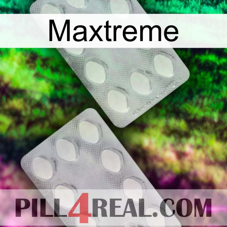 Maxtreme 17